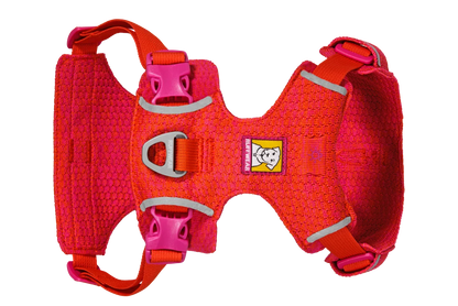 Front Range® Flex Harness