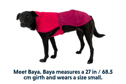 Sun Shower™ Dog Raincoat