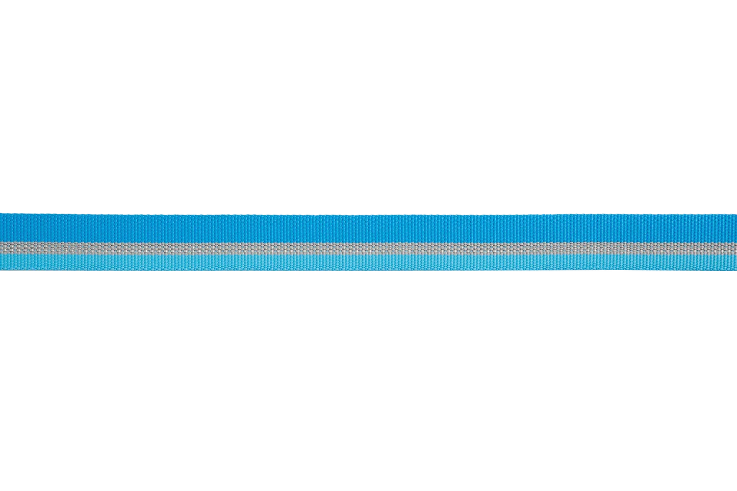 Web Reaction™ Martingale Dog Collar With Buckle