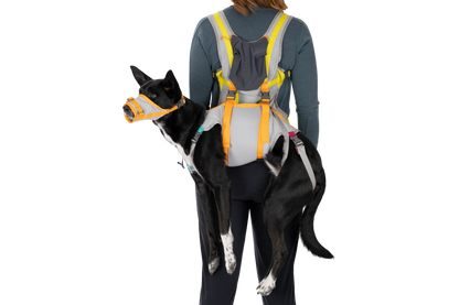 BackTrak™ Dog Evacuation Kit