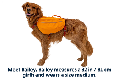 Approach™ Dog Backpack