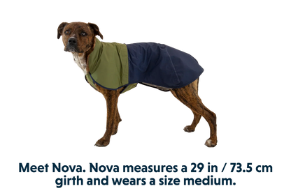 Sun Shower™ Dog Raincoat