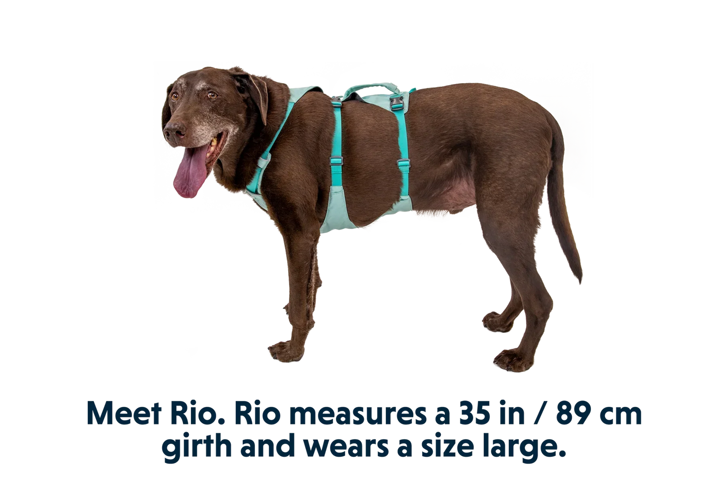 Flagline™ Dog Harness with Handle