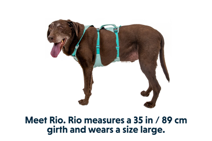 Flagline™ Dog Harness with Handle
