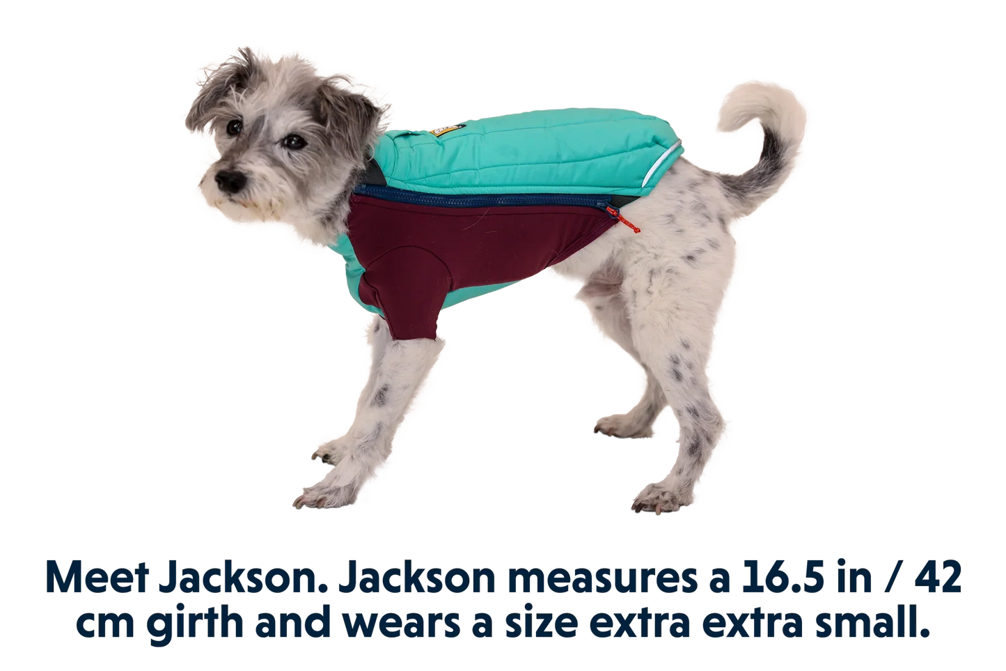 Powder Hound™ Dog Jacket