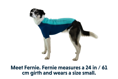 Undercoat™ Dog Water Jacket