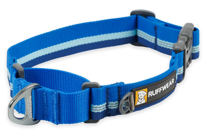 Web Reaction™ Martingale Dog Collar With Buckle