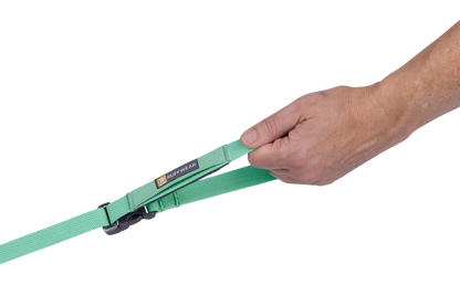 Flagline™ Dog Leash