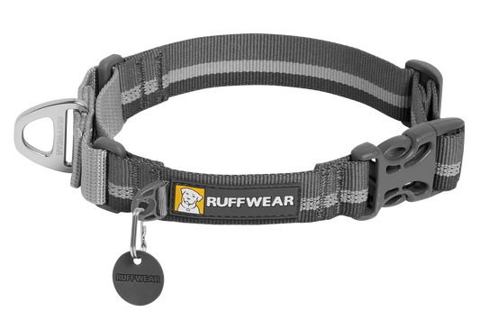 Web Reaction™ Martingale Dog Collar With Buckle