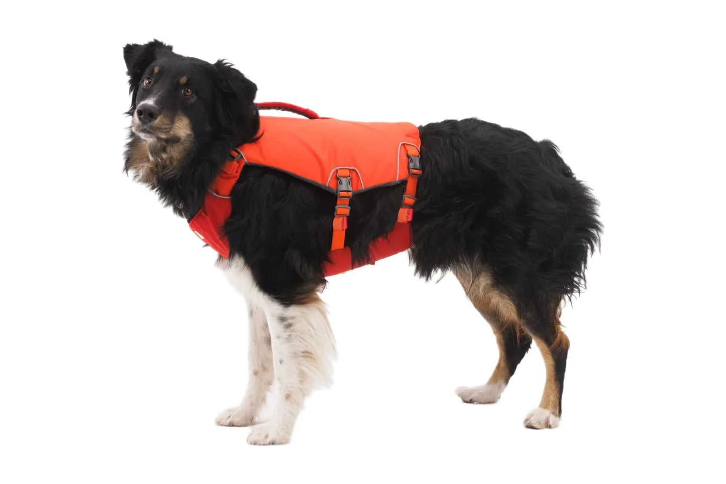 Confluence™ Dog Life Jacket