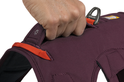 Web Master™ Dog Harness with Handle