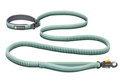 Roamer Lock™  Bungee Dog Leash