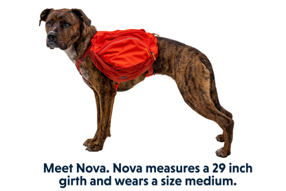 Palisades™ Dog Backpack