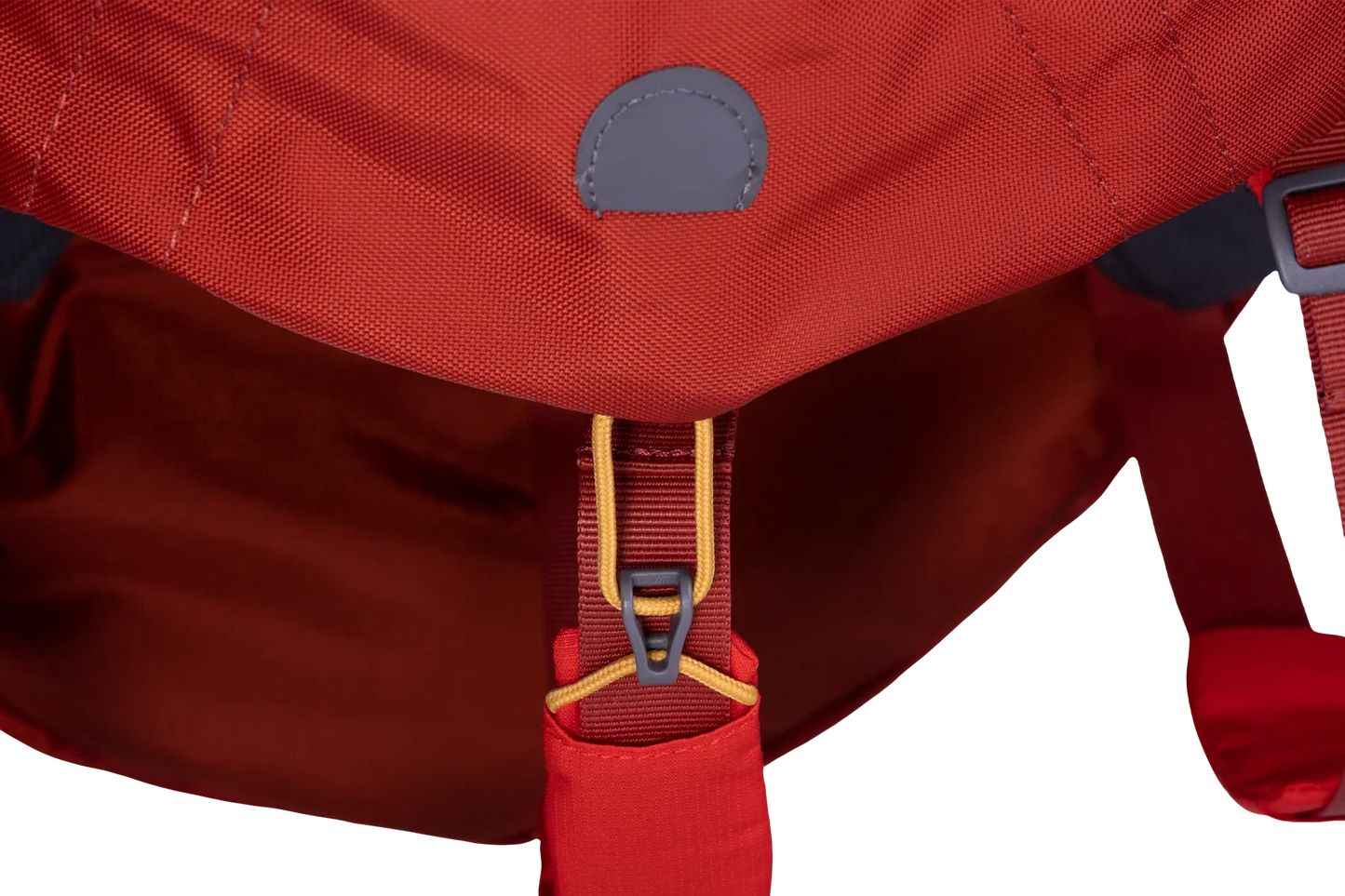 Palisades™ Dog Backpack