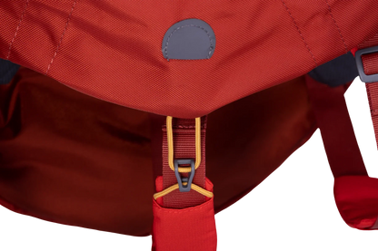 Palisades™ Dog Backpack