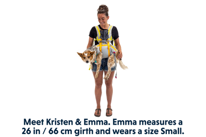 BackTrak™ Dog Evacuation Kit