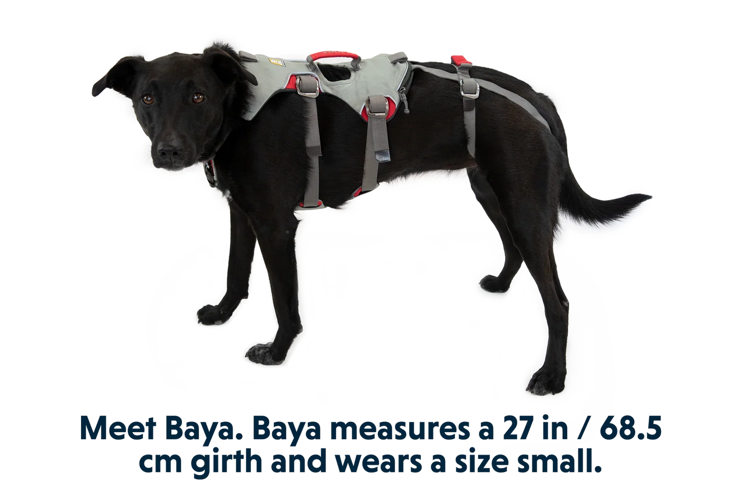 Doubleback™ Full Body Dog Harness