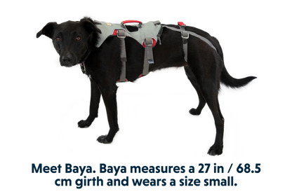 Doubleback™ Full Body Dog Harness