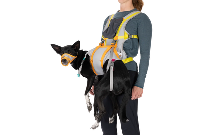 BackTrak™ Dog Evacuation Kit
