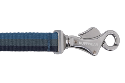 Roamer™ Bungee Dog Leash