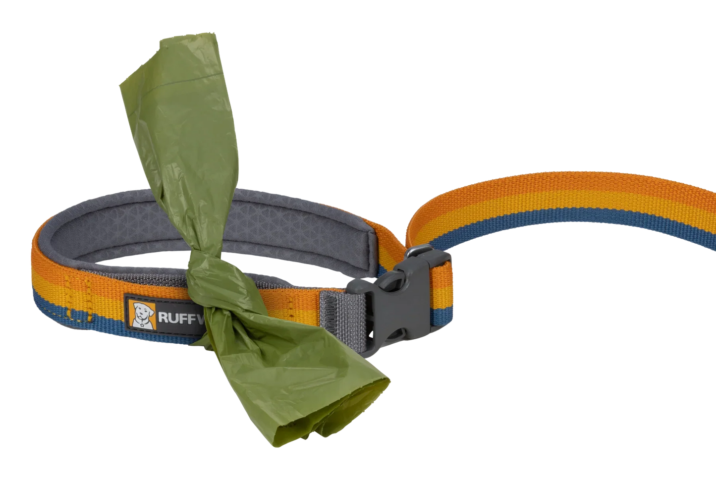 Roamer™ Bungee Dog Leash