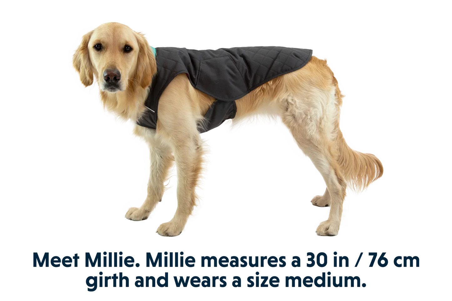Stumptown™ Insulated Vest