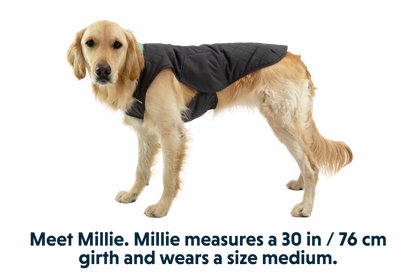 Stumptown™ Insulated Vest
