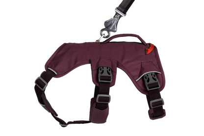 Web Master™ Dog Harness with Handle