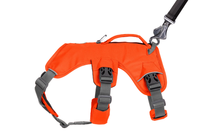 Web Master™ Dog Harness with Handle