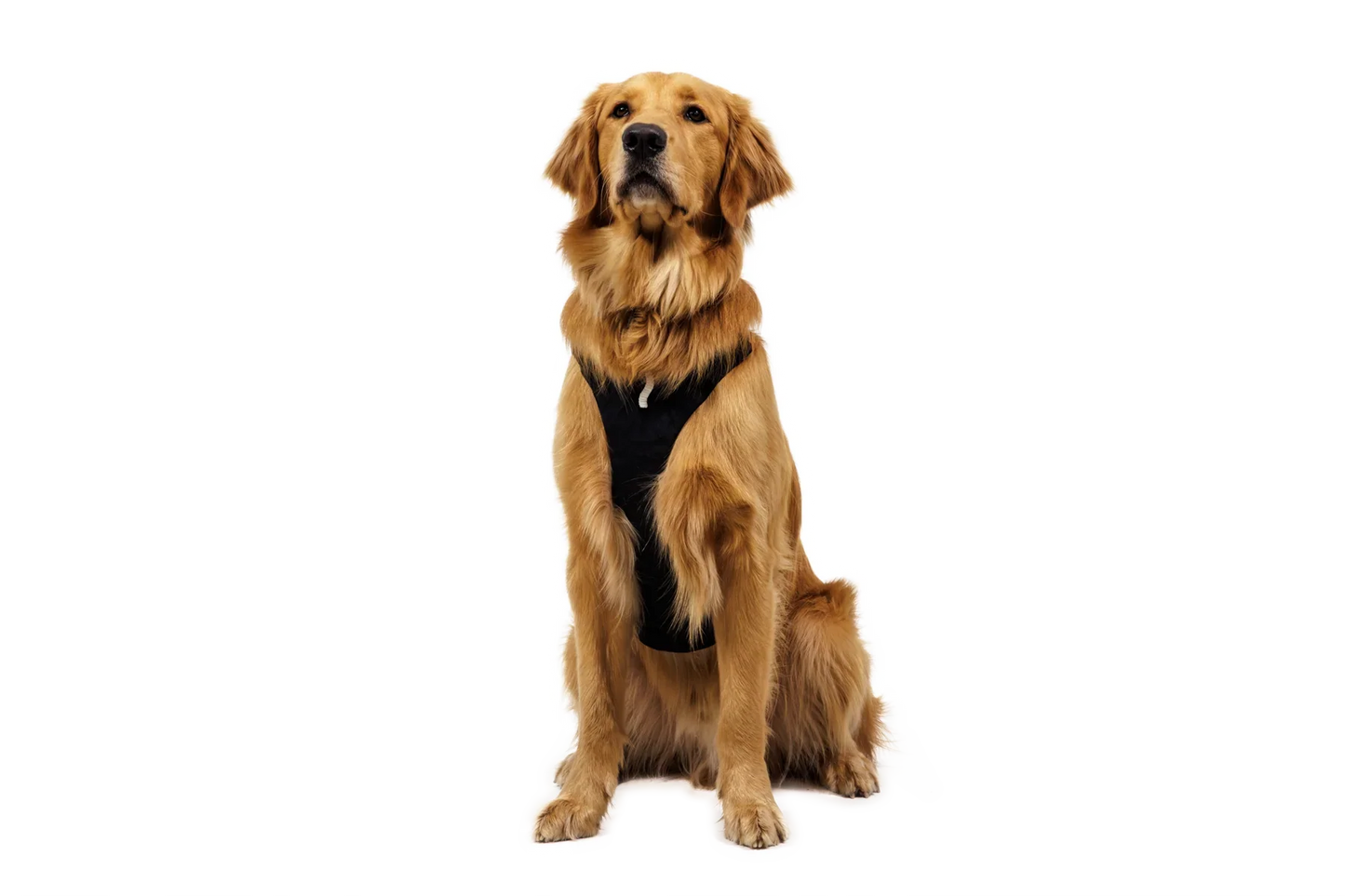 Ridgeline™ Harness