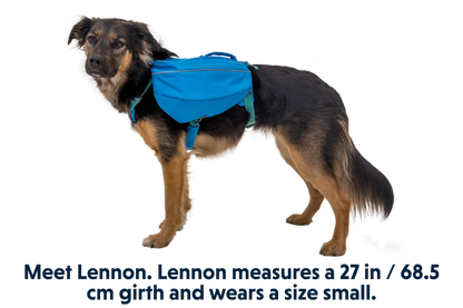 Approach™ Dog Backpack