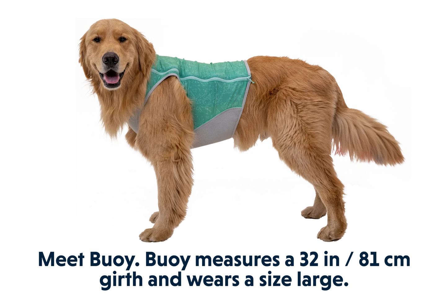Swamp Cooler Zip™ Cooling Dog Vest