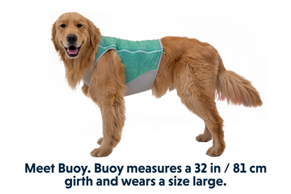 Swamp Cooler Zip™ Cooling Dog Vest