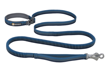 Roamer™ Bungee Dog Leash