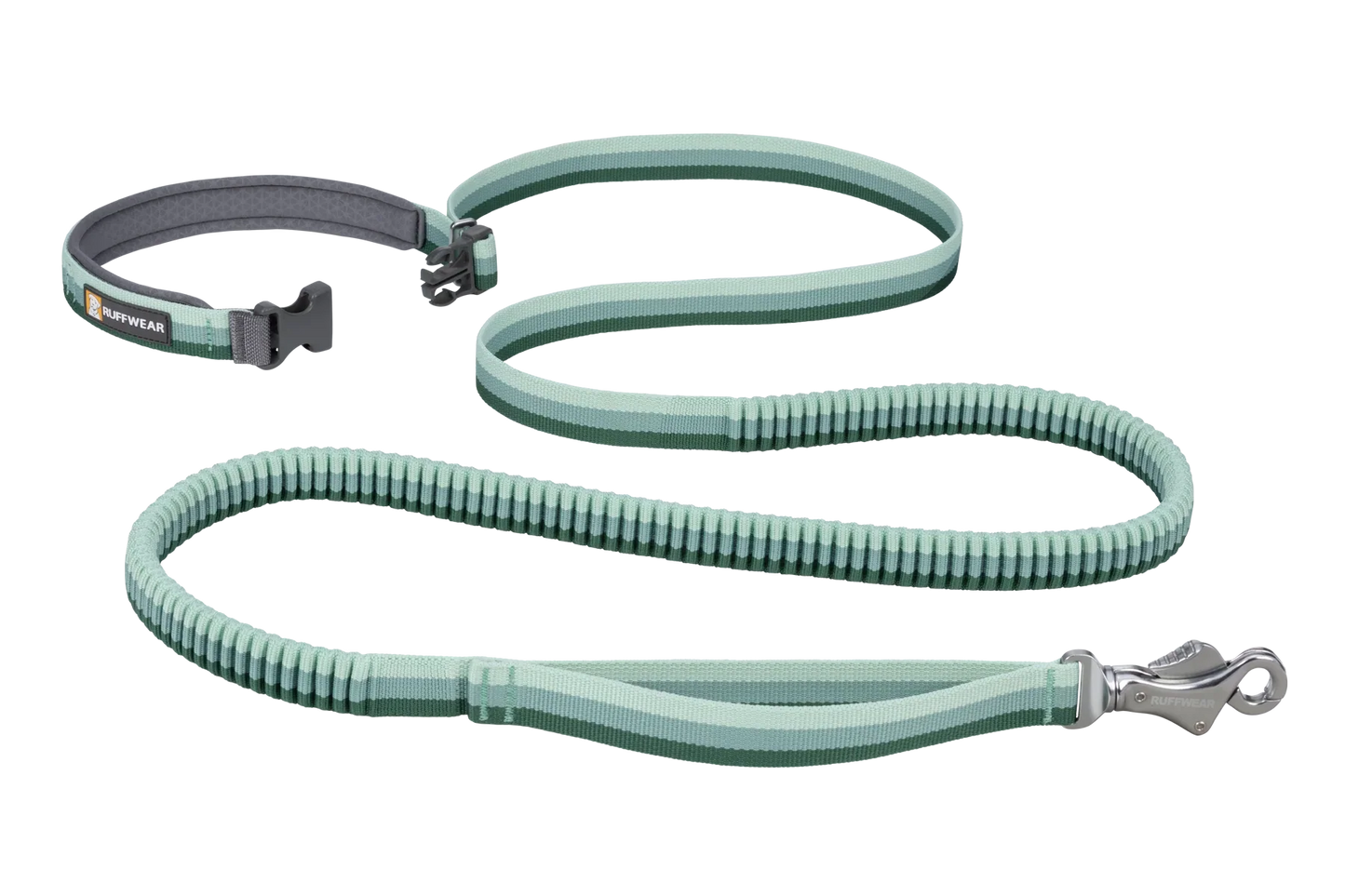 Roamer™ Bungee Dog Leash