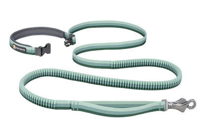 Roamer™ Bungee Dog Leash
