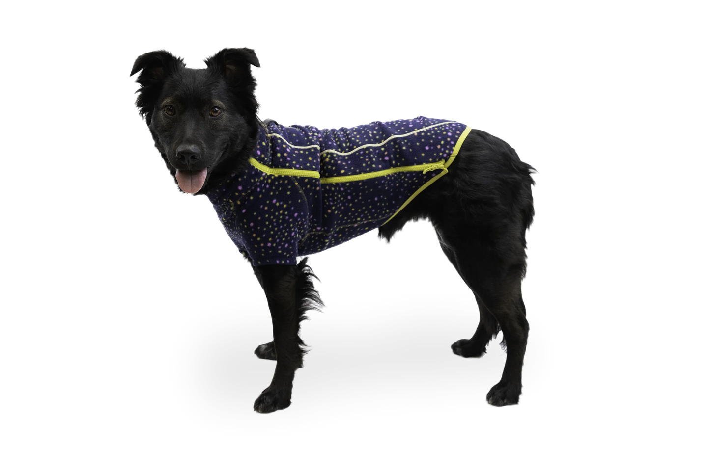 Climate Changer™ Dog Fleece