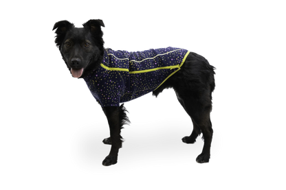 Climate Changer™ Dog Fleece
